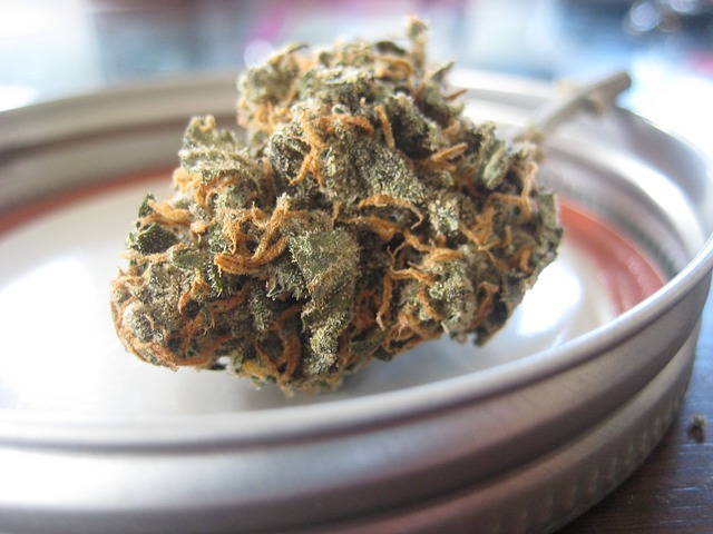 CBD Oils