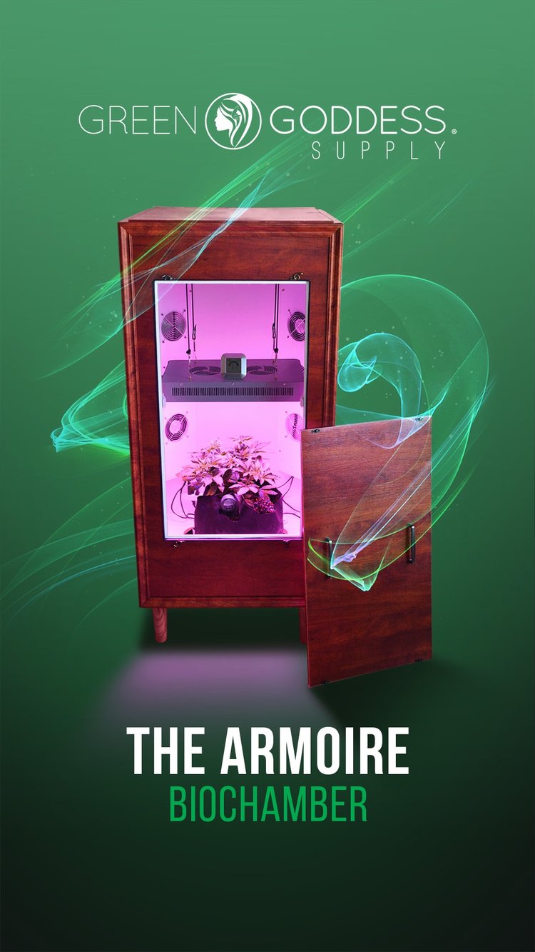 Green Goddess Supply Review