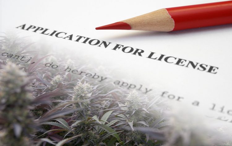 application for license