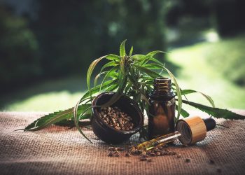 Guide to CBD