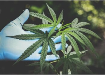 British Columbia Online Dispensary