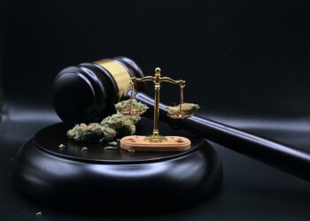 1970 controlled substances act