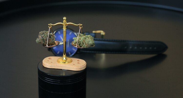 How long has weed been legal in Colorado