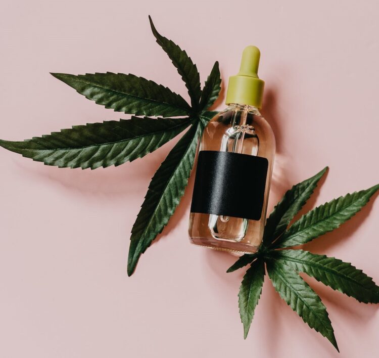 Is CBD bad for you