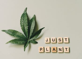 Is weed legal in Washington