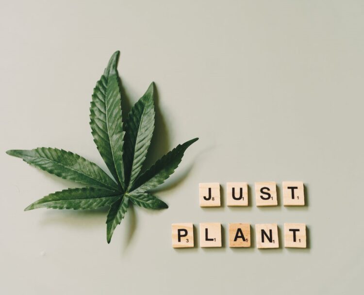 Is weed legal in Washington