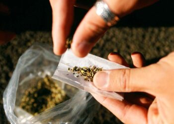 List of Synthetic Cannabinoids