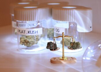 Weed laws in Florida