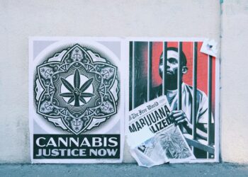 latest cannabis news