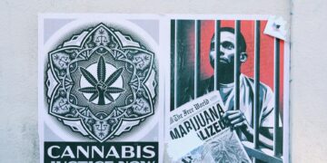 latest cannabis news