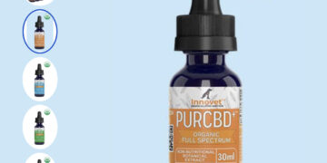 pet cbd oil