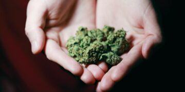 Buy weed online