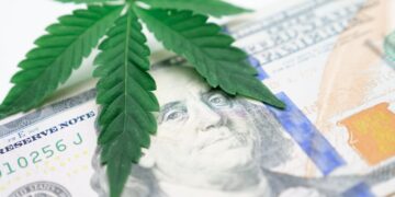 Cannabis Companies