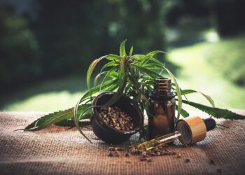 Best CBD Products