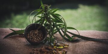 CBD Enthusiasts