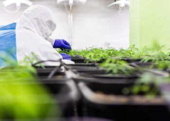 French Hemp Revolution